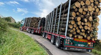 MultiWay Forest - Produkte